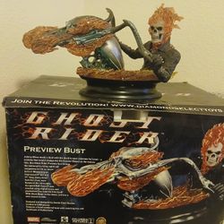 2006 Diamond Select Toys Limited Edition GHOST RIDER Preview Bust 641/1500