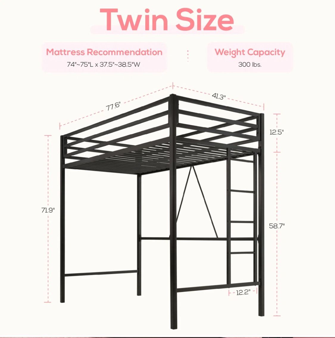 Twin Size Loft Bed and Mattress