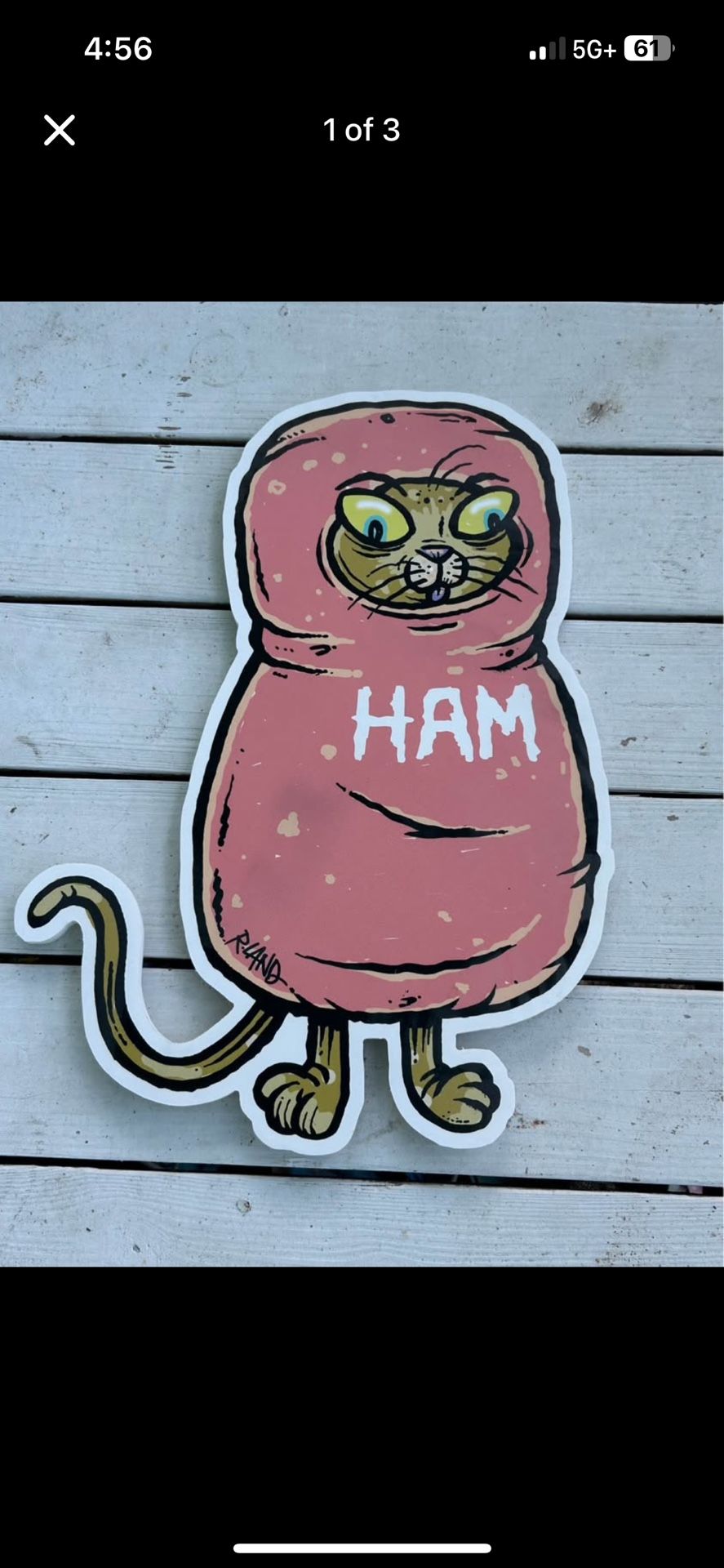 Ham cat