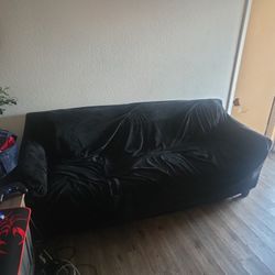 Free Couch Must Come Pick Up