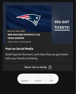Raiders vs Patriots Tickets Section 205