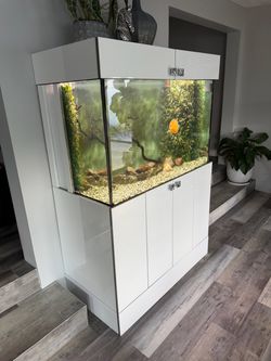 Amazing Saltwater 150 gallon Aquarium/Fish Tank