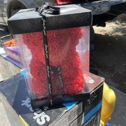 Rose Bear Brand New