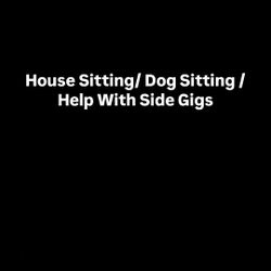 House Sitting / Dog Sitting / Help With Side Gigs