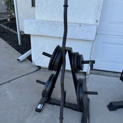 Standard Weights, Tree And Curl Bar
