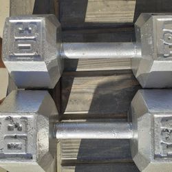 TSA 30lb dumbbells
