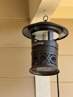 Bug trap