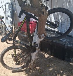 Schwinn Sidewinder