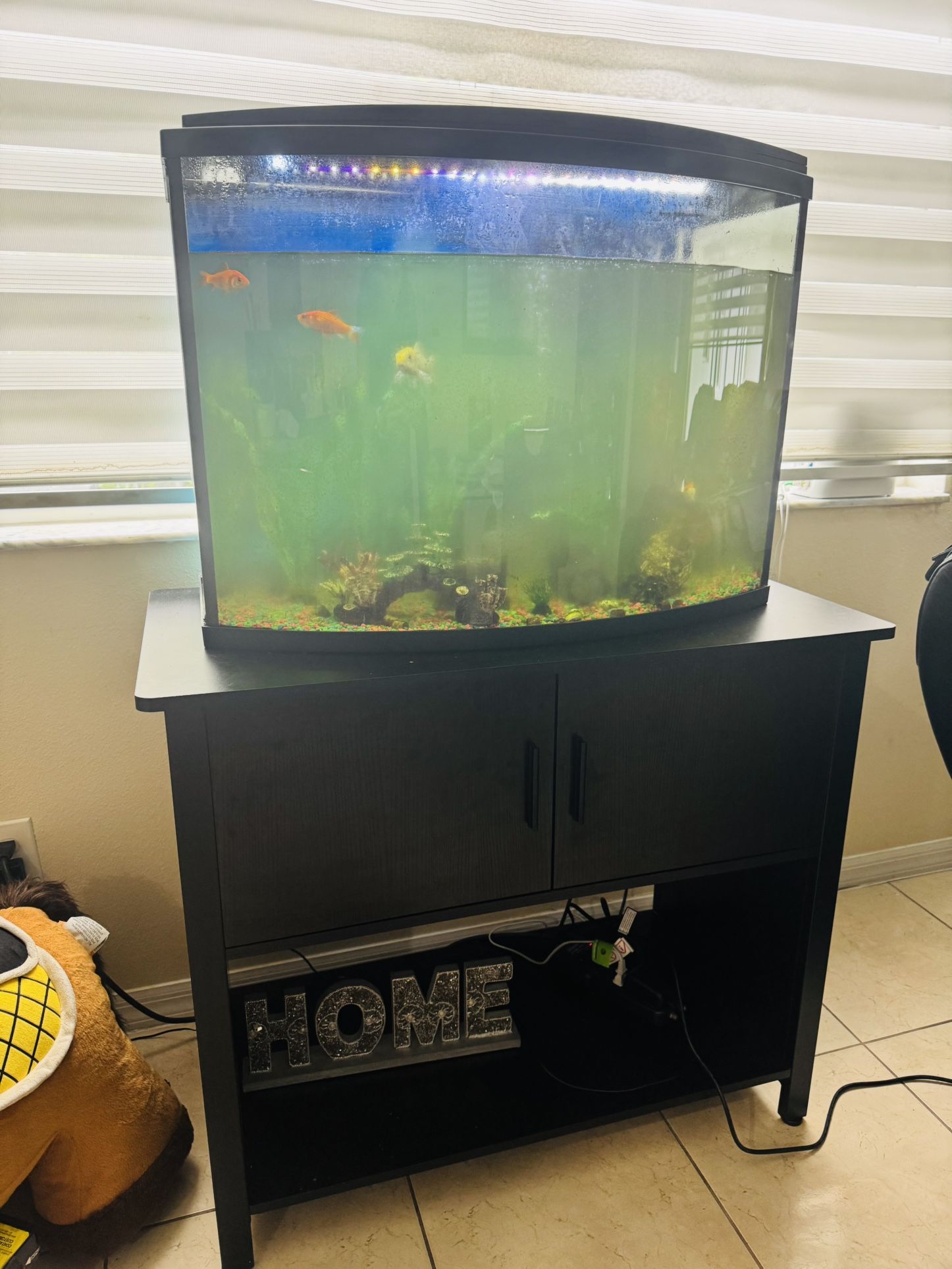 Fish Tank