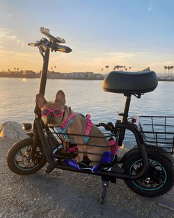 Gyroor cs1 electric scooter for sale