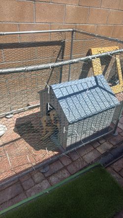 Dog house for sale
