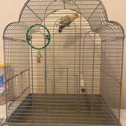 Cage For Birds 
