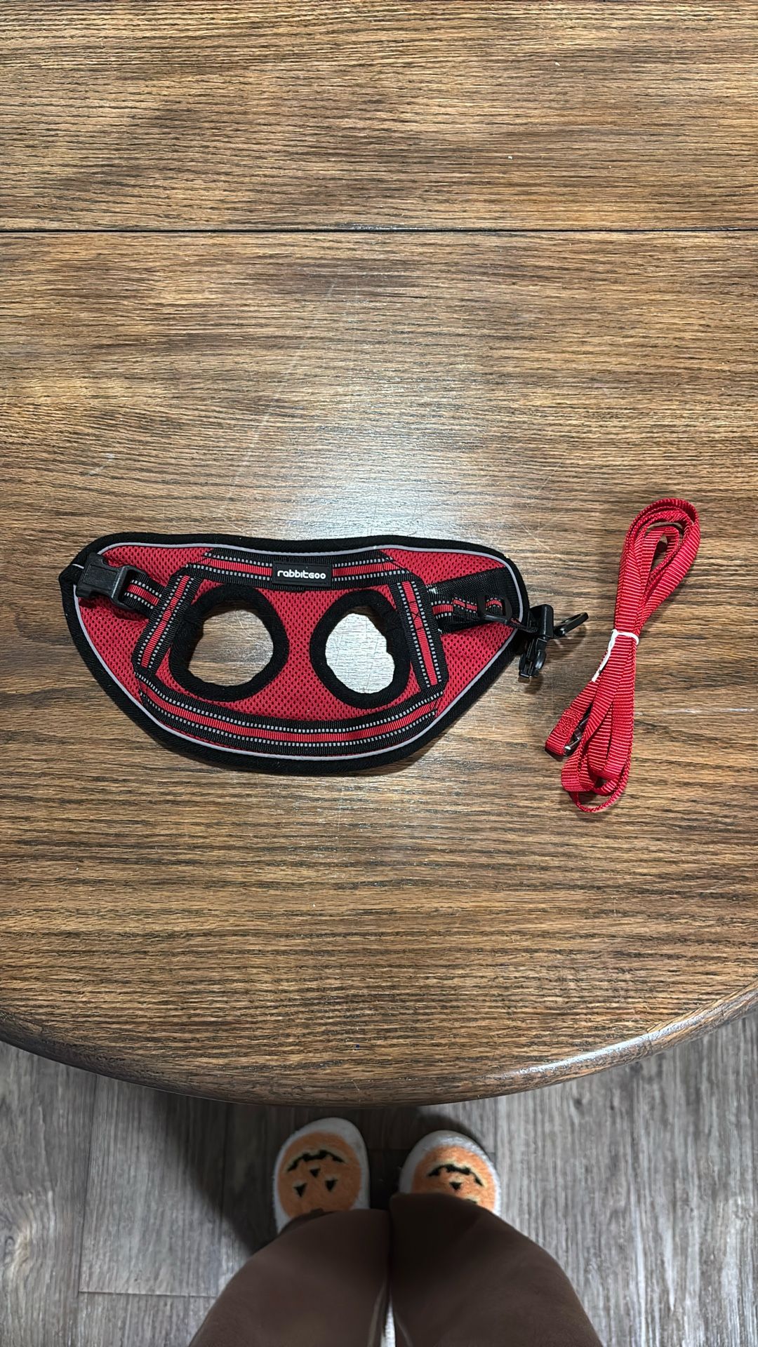 Small Red Pet Harness and Leash