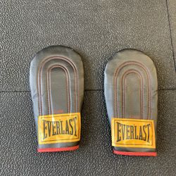 Everlast Boxing Training Gloves