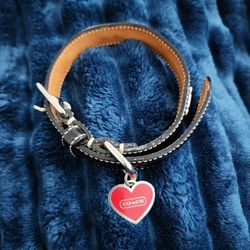 Coach Dog Collar 