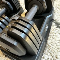 FLYBIRD Dumbbells 