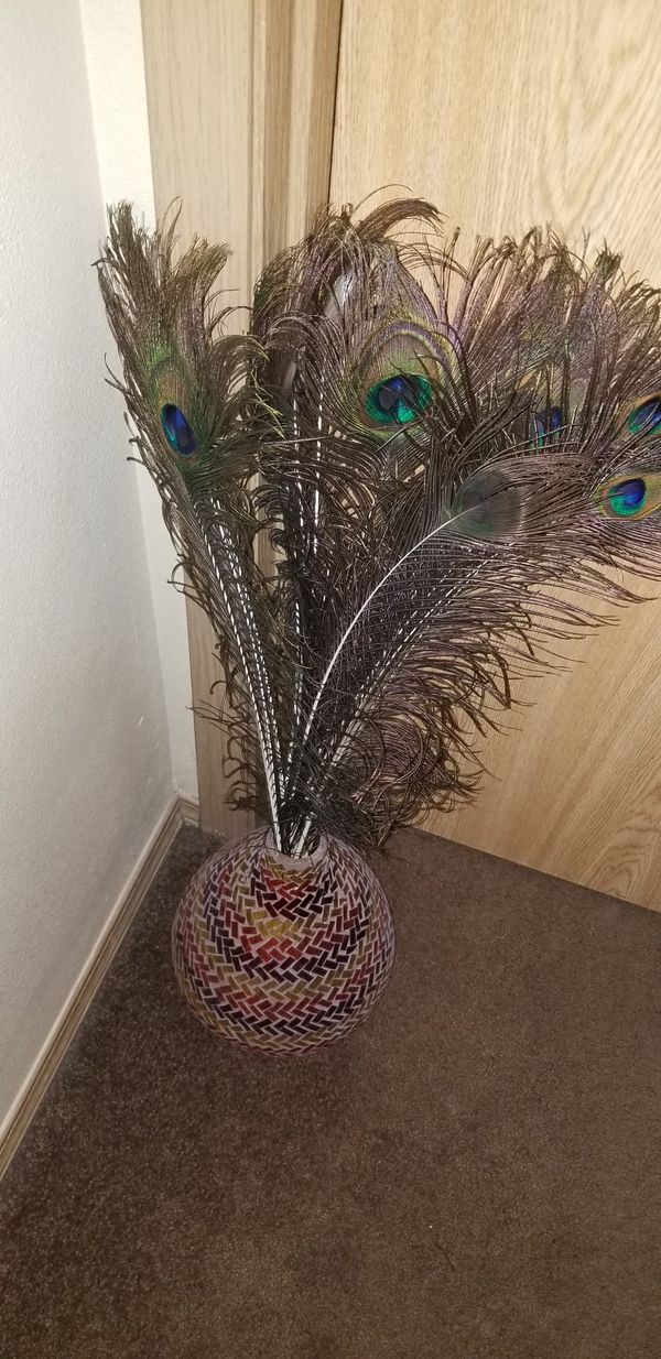 Beautiful Vase And Peacock Feathers For Sale In Portland Or Offerup