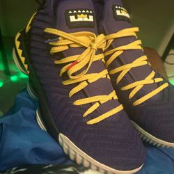 LeBron 16 Martin