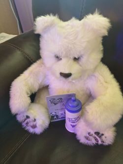 Polar bear