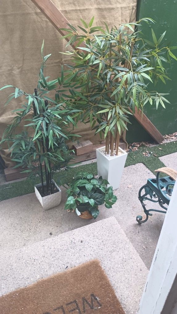 Set Of 2 Bamboo And 1 Plant Artificial.