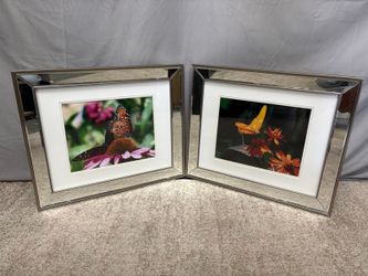 Matching Beveled Mirrored Framed Butterfly Photography Prints (Set of 2)