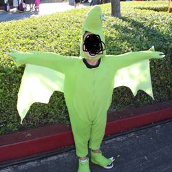 Dinosaur Train Costume Size Toddler 4-6