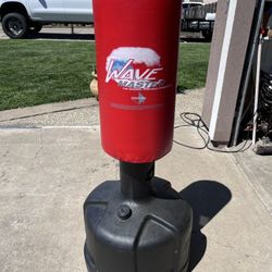 Portable Training Bag