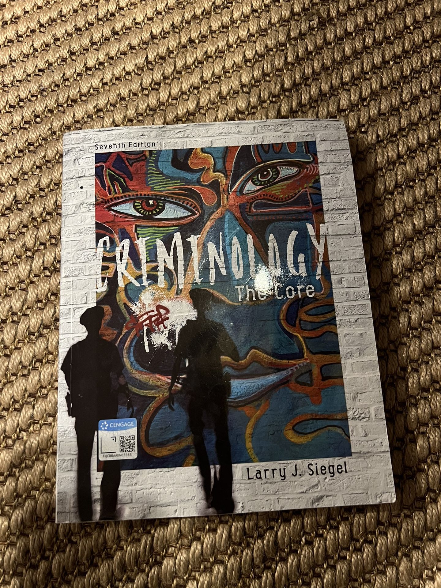 Criminology: The Core