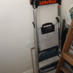 2 Ladders