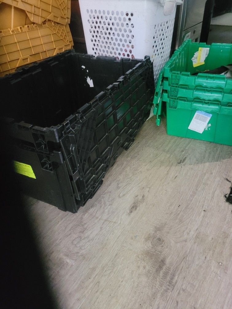 Storage Totes