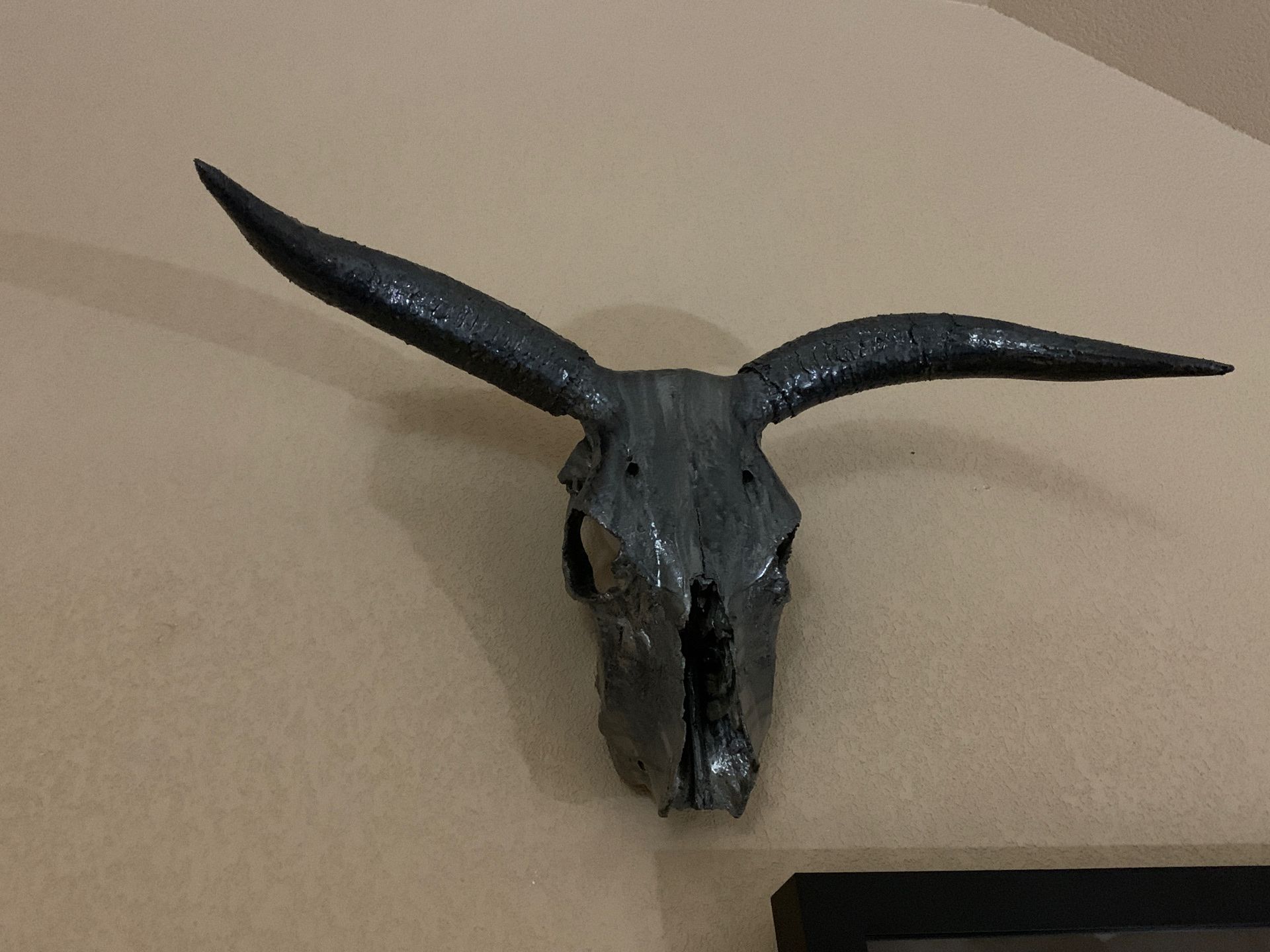 Epoxy Coated bull skull