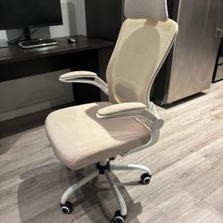 Desk Computer Chair