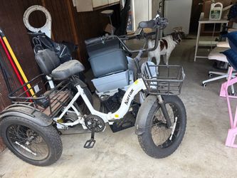 Adult trike