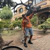 Francisco