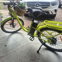 BIG CAT ELECTRIC BIKE