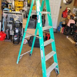 Fiberglass Ladder 6ft