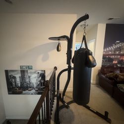 Punching Bag 