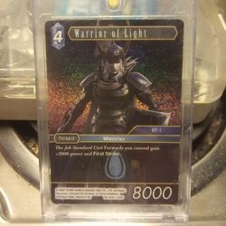 Final fantasy warrior of light