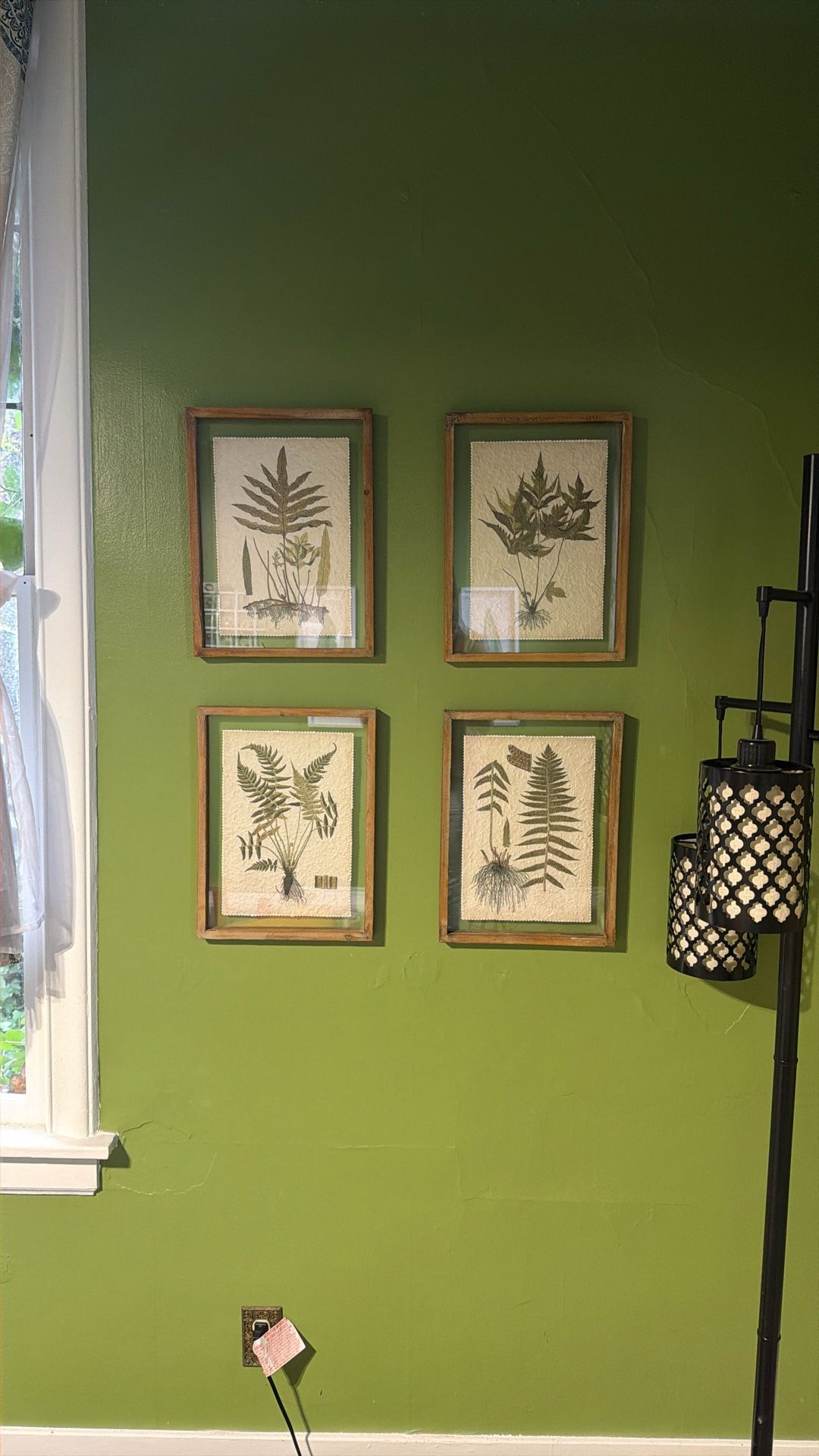 Four Paintings Plants
