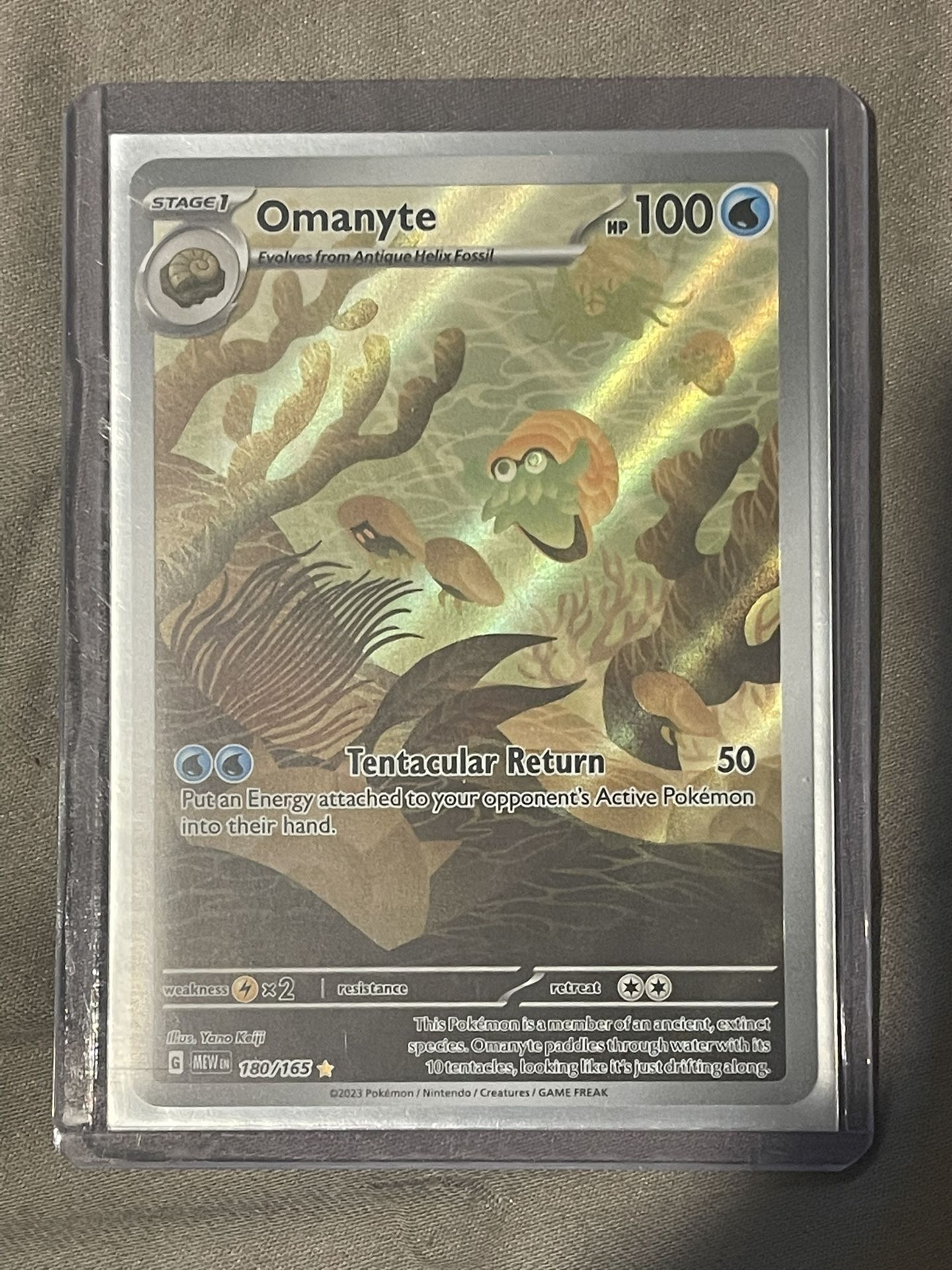 Omanyte 180/165