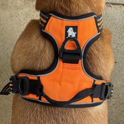TRUE LOVE Truelove Adjustable No Pull Dog Harness