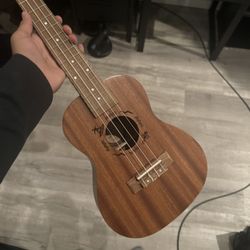 Ukulele Flight Professional, Not Used And Still In Bag