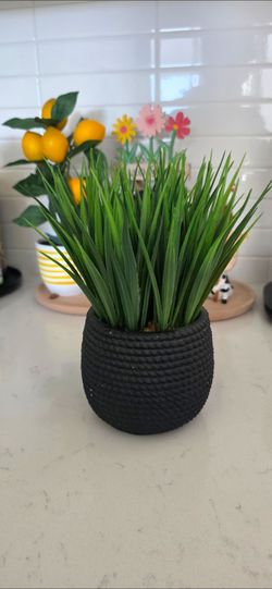 🌿 Faux Grass Plant in Decorative Black Pot 🌿