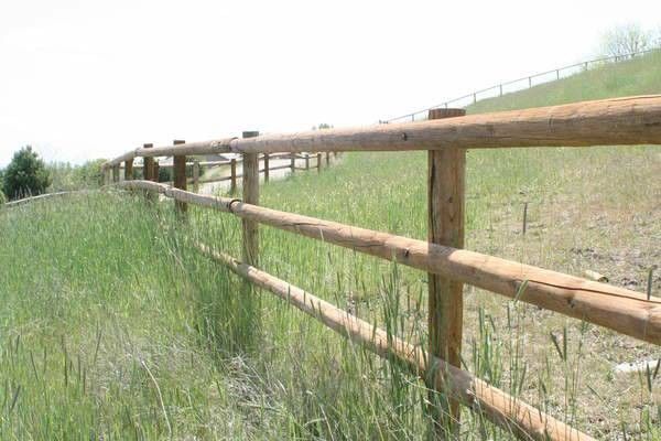Fence Posts - 4" UNTREATED
