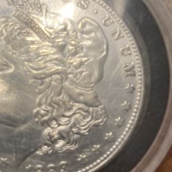Morgan Half Dollar