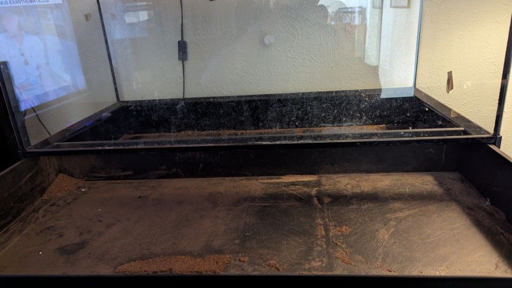 40 Gallon Tank 30$