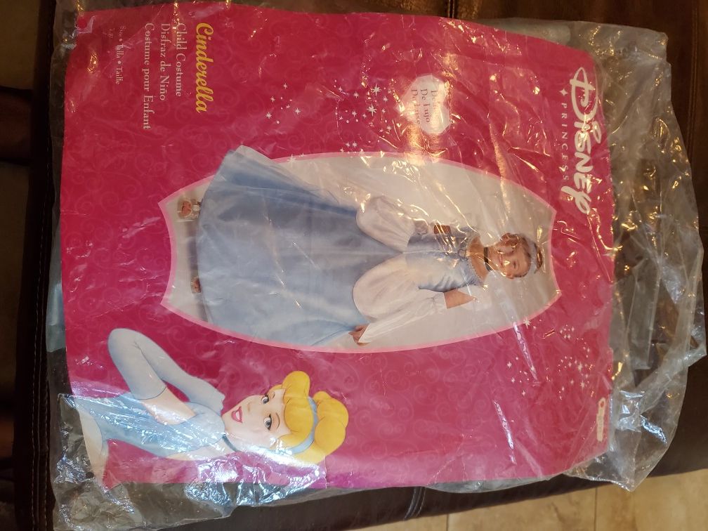 Cinderella Costume