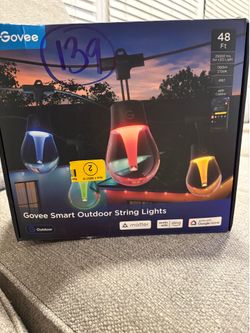 Govee Smart String Lights
