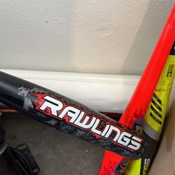 Bat