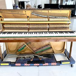 Sideless Naked Upright Piano 